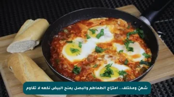 شهيّ ومختلف.. امتزاج الطماطم والبصل يمنح البيض نكهة لا تقاوم